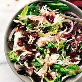 Turkey & Cranberry Salad (Kneader’s Copycat)