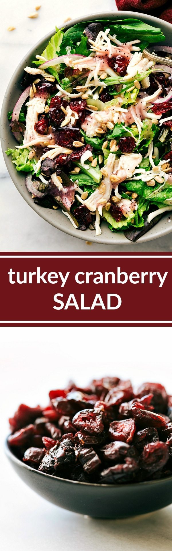 A good-for-you mixed greens salad topped with leftover turkey (or chicken), red onions, dried cranberries, and sunflower seeds Recipe via chelseasmessyapron.com