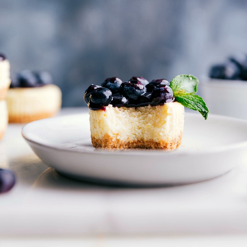 Irresistible mini blueberry cheesecake with a tempting bite missing.