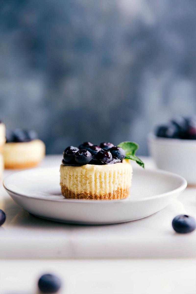 Mini blueberry cheesecake topped with fresh blueberries, a delightful dessert.