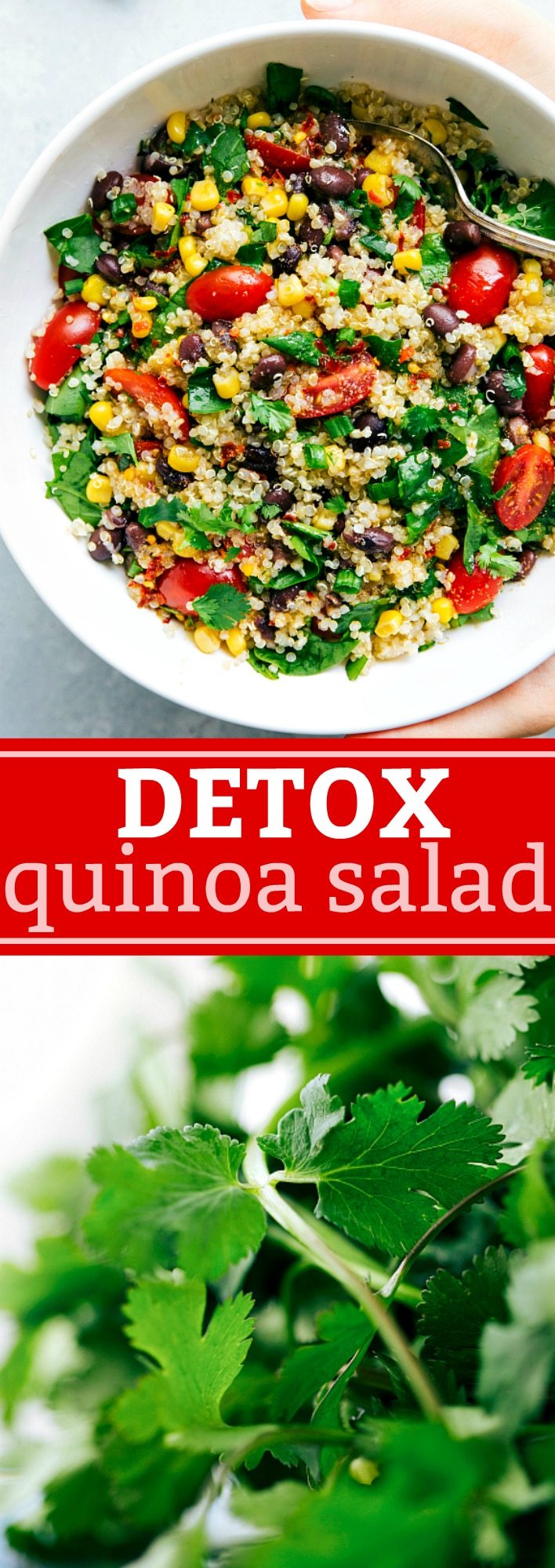 The best DETOX quinoa salad -- such healthy and delicious ingredients that are so good for you and help detox your body. Recipe from chelseasmessyapron.com