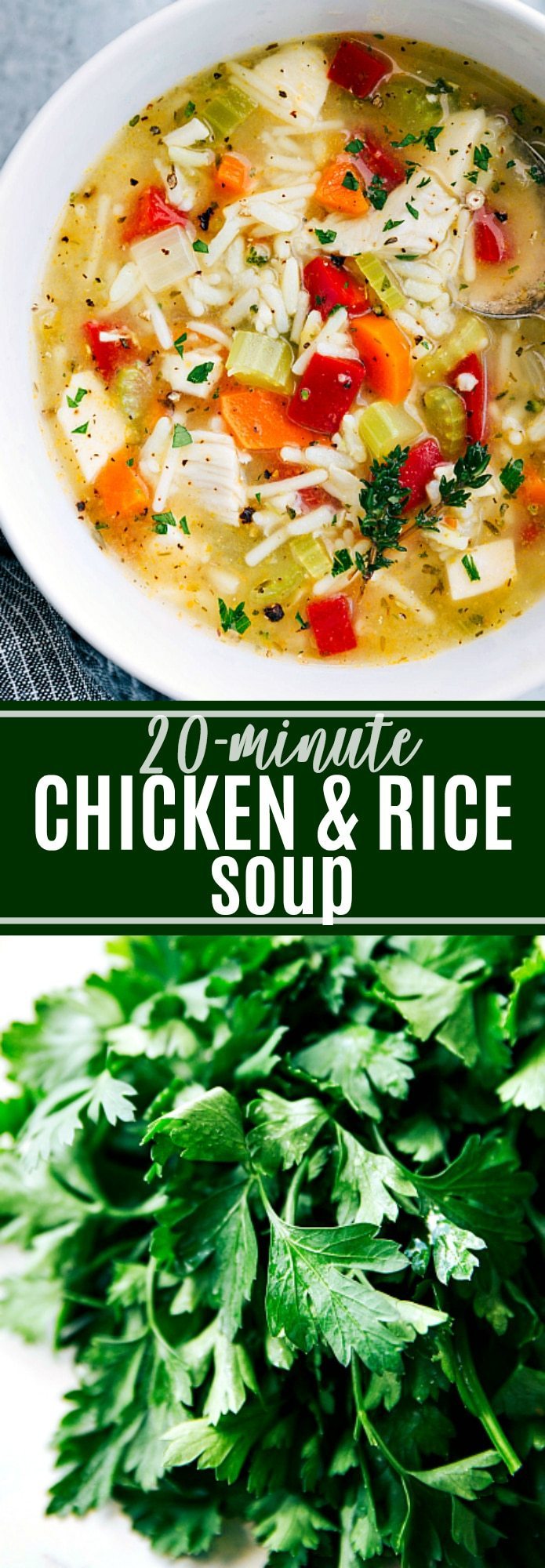 A chicken broth based soup chock-full with good for you vegetables, shredded chicken, rice, and seasonings. A hearty, healthy, and delicious soup. via chelseasmessyapron.com