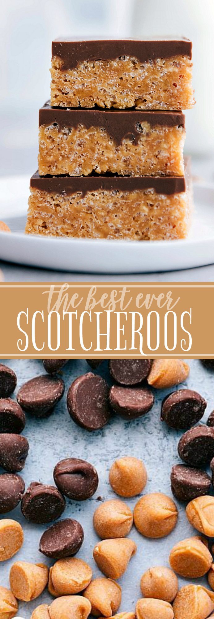 The ultimate BEST EVER SCOTCHEROOS! A super easy and quick dessert that everyone goes crazy for! via chelseasmessyapron.com | #scotcheroos #dessert #desserts #bar #bars #easy #quick #kidfriendly #butterscotch #chocolate #chips #ricekrispies