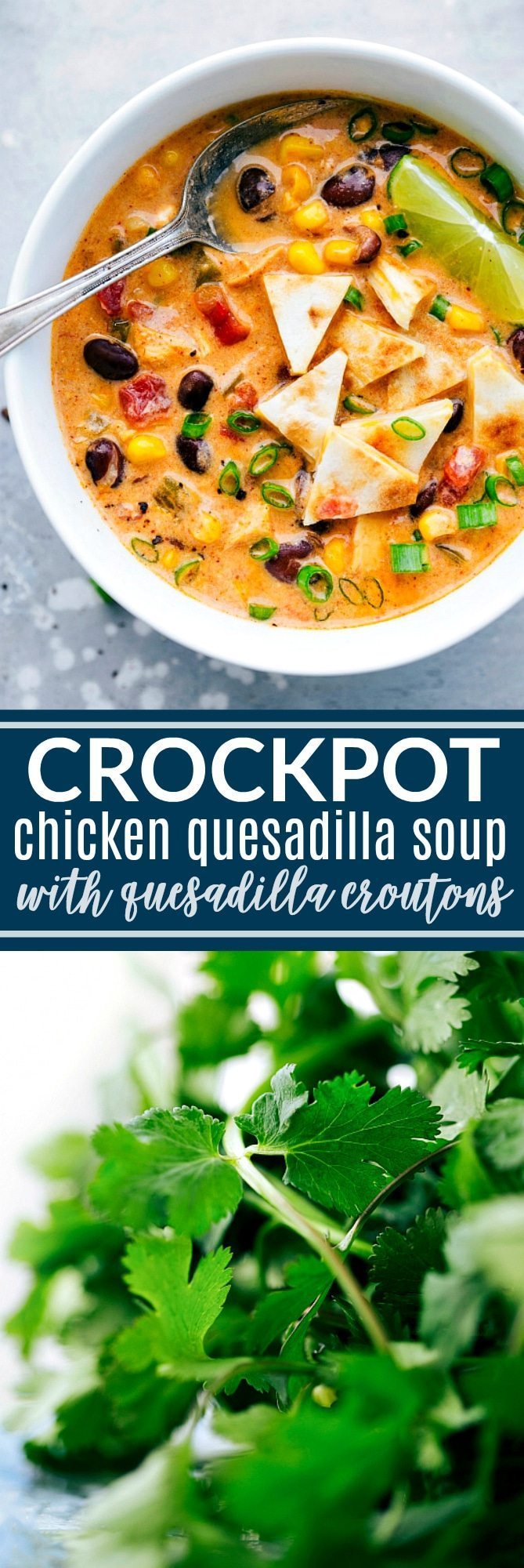 The BEST EVER Crockpot Creamy Chicken Quesadilla Soup! Dump it and forget about it and then serve with 2-ingredient quesadilla croutons! chelseasmessyapron.com