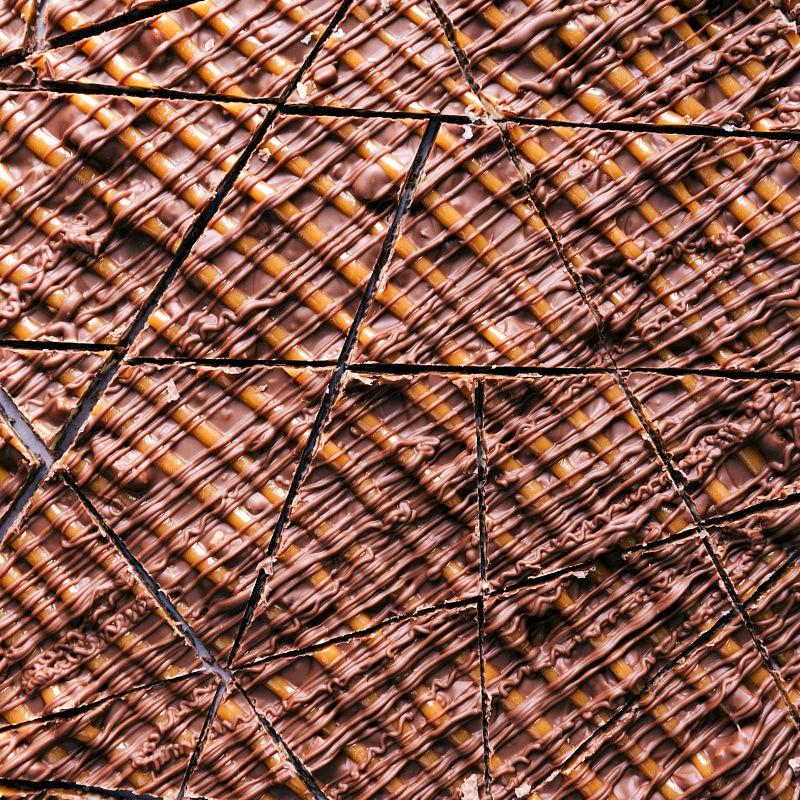 View of the Turtle Bark, cut into pieces.