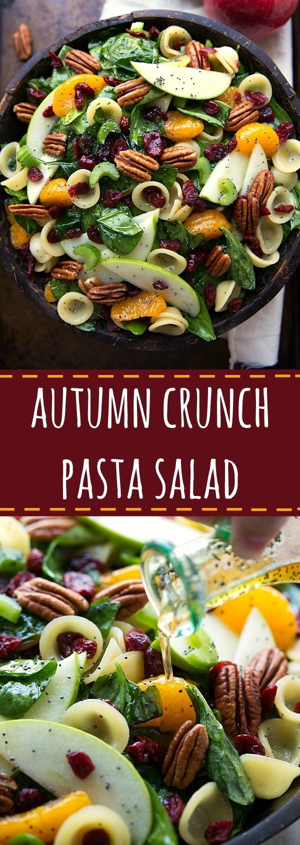 Delicious spinach pasta salad with cranberries, pecans, apple, and mandarin orange