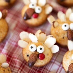 Cute and healthy Thanksgiving treat - a snack-sized mini muffin decorated like a turkey!