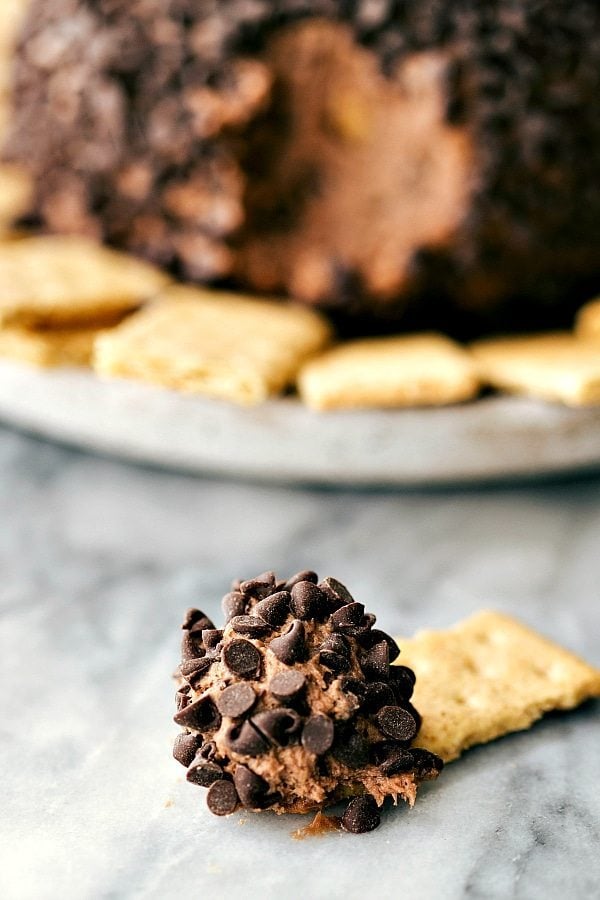 Chocolate chip-studded sweet batter on graham cracker.