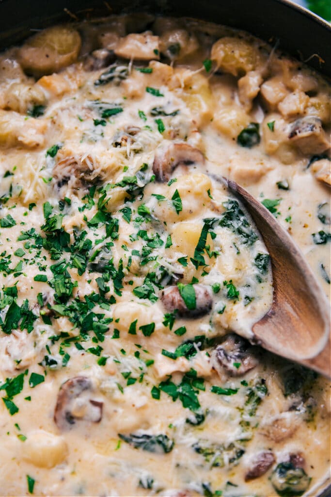 Chicken Gnocchi Pasta (ONE Skillet!) Chelsea's Messy Apron