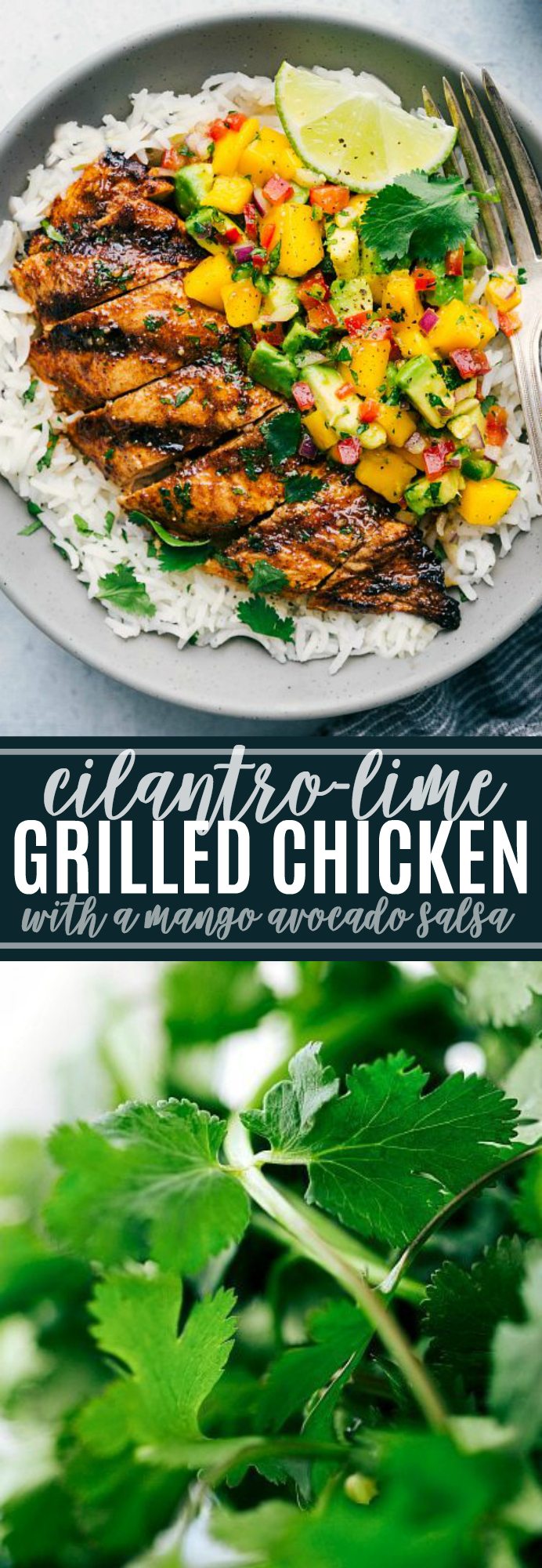 The ultimate BEST EVER cilantro lime chicken with an incredible mango salsa! via chelseasmessyapron.com #cilantro #lime #chicken #grilled #easy #quick #familyfriend #kidfriendly #mango #avocado #salsa #healthy