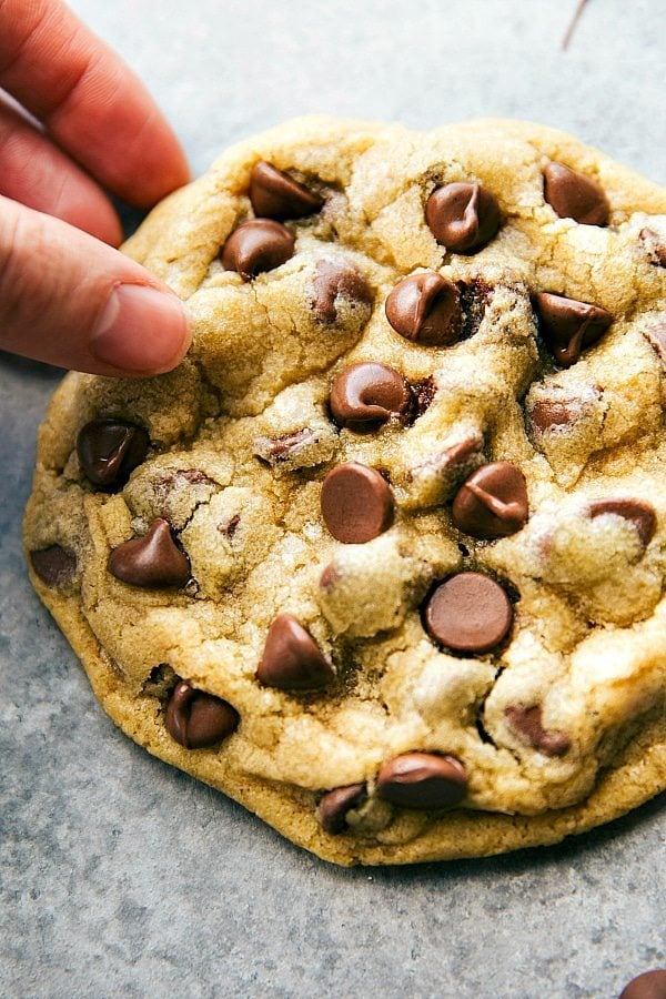 Quick, easy, and SO DELICIOUS! A small batch, single-serving-sized bakery style large chocolate-chip cookies. Recipe via chelseasmessyapron.com