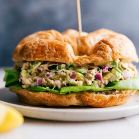Avocado tuna salad served in a croissant, a delicious sandwich ready to be enjoyed.