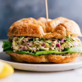 BBQ Chicken Sandwich Recipe