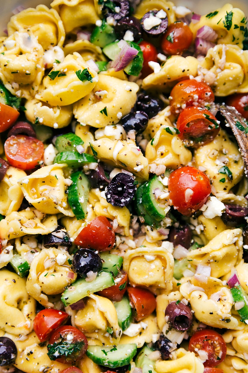 Greek salad tortellini mixed with fresh cucumbers, tomatoes, olives, and delicious homemade dressing.