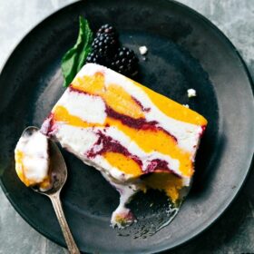 Sorbet Terrine