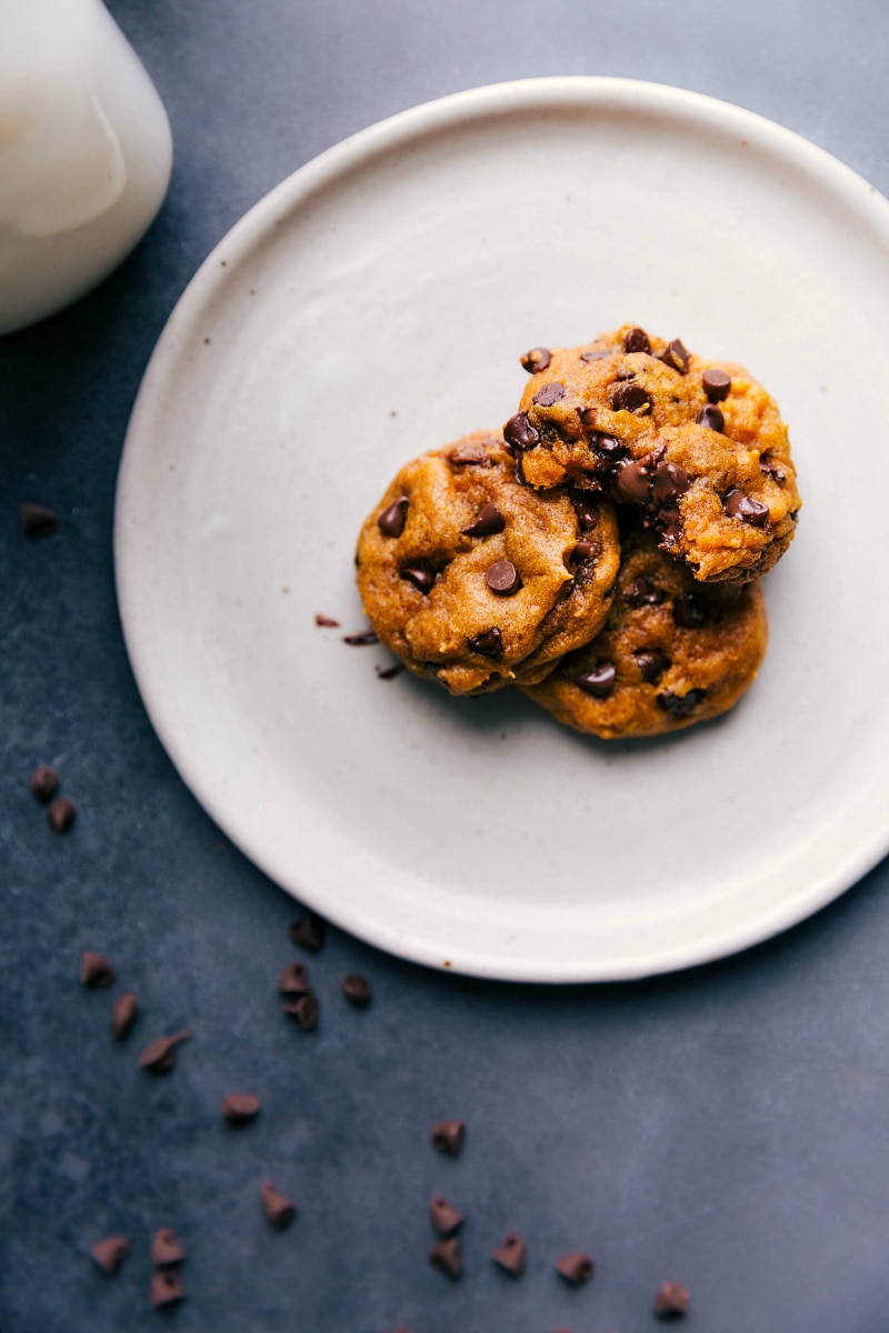 Soft pumpkin cookies on a plate with warm, melting chocolate chips, delicious and ready to be eaten.