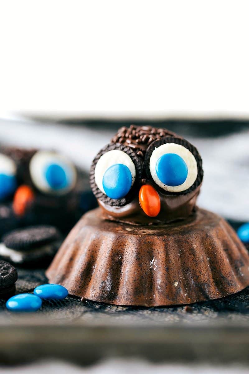 OWL OREO BALL: Four different ways to dress up an oreo ball for Halloween -- a witch, spider, frankenstein, and an owl. Easy and delicious treats that are perfect for a party! via chelseasmessyapron.com