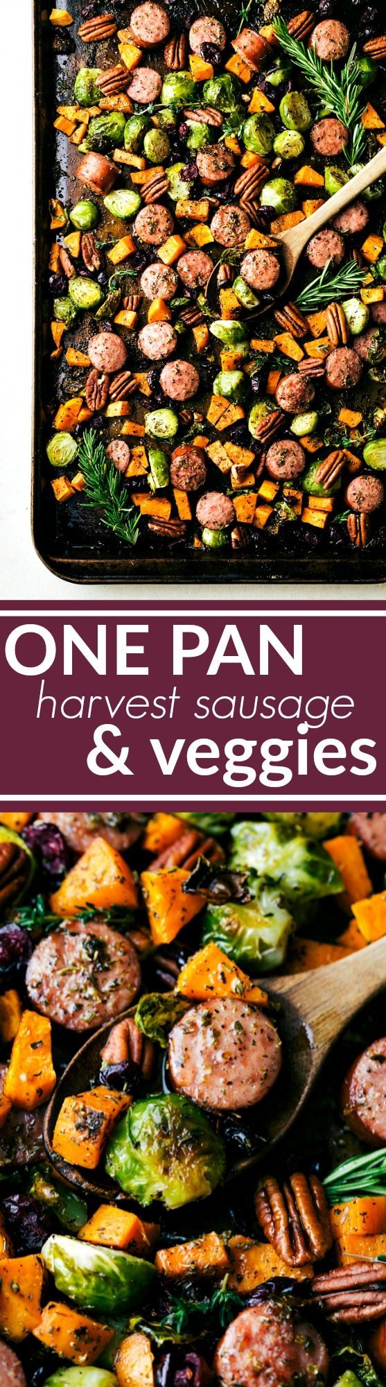 An easy one pan meal -- harvest herb-seasoned sausage and veggies baked together and topped with dried cranberries and pecans. Delicious, hearty, and healthy! Recipe via chelseasmessyapron.com