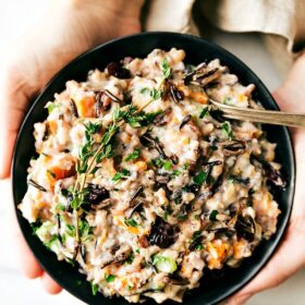 Crockpot Creamy Chicken and Wild Rice Casserole