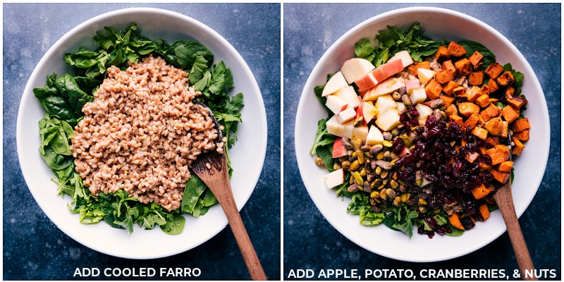 Process shots: add cooled farro to salad greens; add apple, potato, cranberries and nuts.