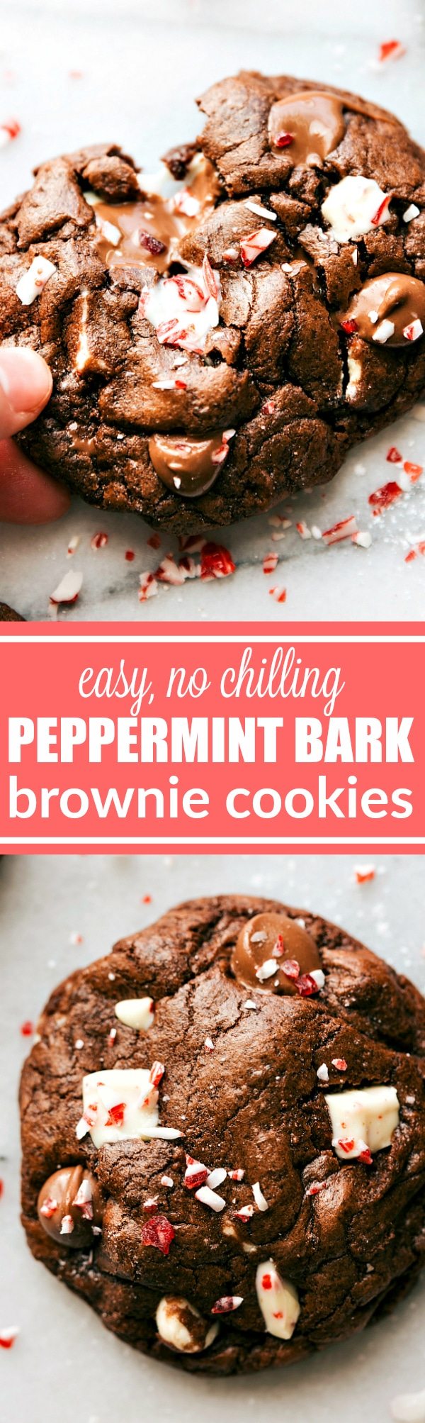 PEPPERMINT BARK BROWNIE COOKIES! Easy to make brownie cookies with chunks of peppermint bark and a sprinkle of crushed peppermint. These cookies are ultra fudgy AND easy to make! via chelseasmessyapron.com