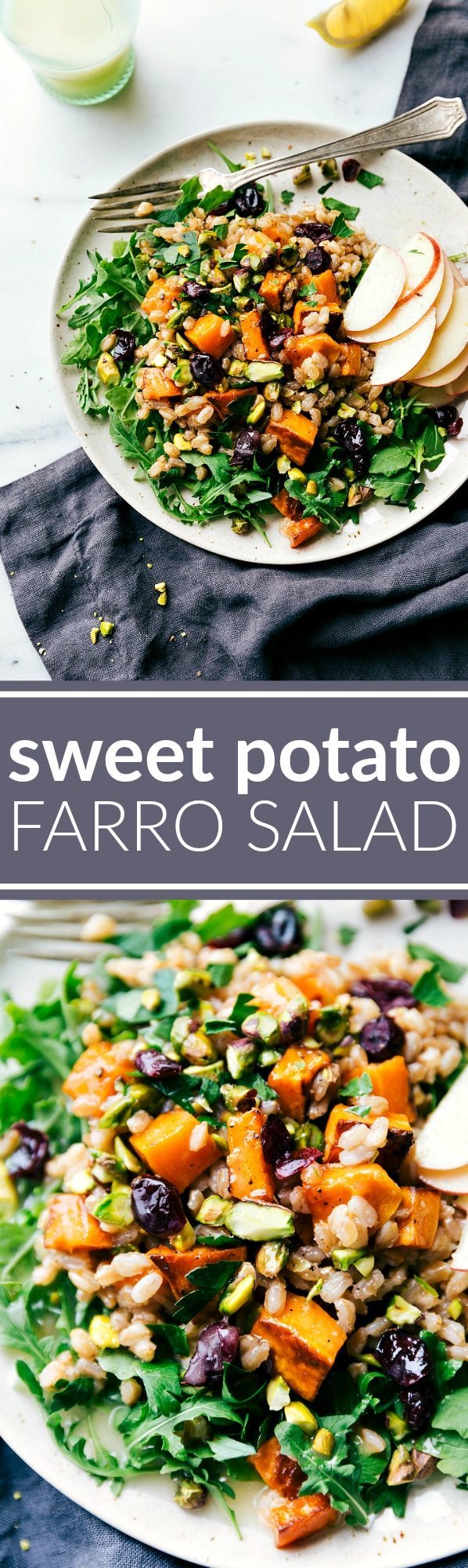 ROASTED SWEET POTATO SALAD. A hearty, healthy, and filling salad -- sweet apple cider farro, roasted sweet potatoes, arugula, and an easy blender lemon dressing. via chelseasmessyapron.com