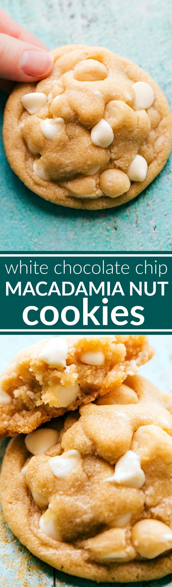 The BEST White Chocolate Macadamia Nut Cookies! Recipe via chelseasmessyapron.com