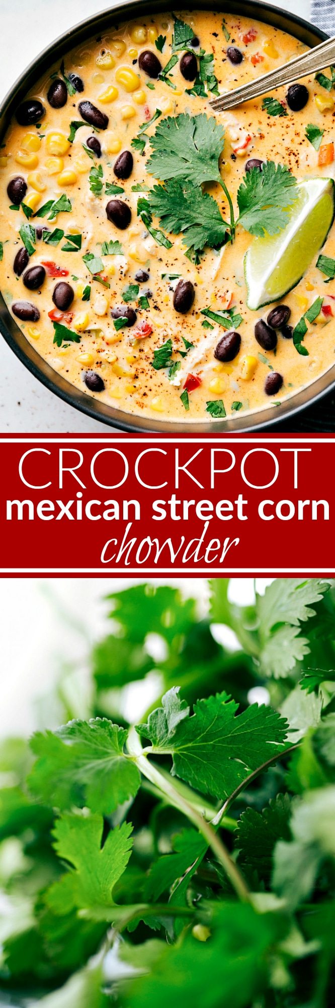 Dump it and forget about it slow cooker meal! A delicious Mexican crockpot chicken and corn chowder that has the same delicious flavors of Mexican Street Corn! A delicious Mexican Chicken Chowder! via chelseasmessyapron.com