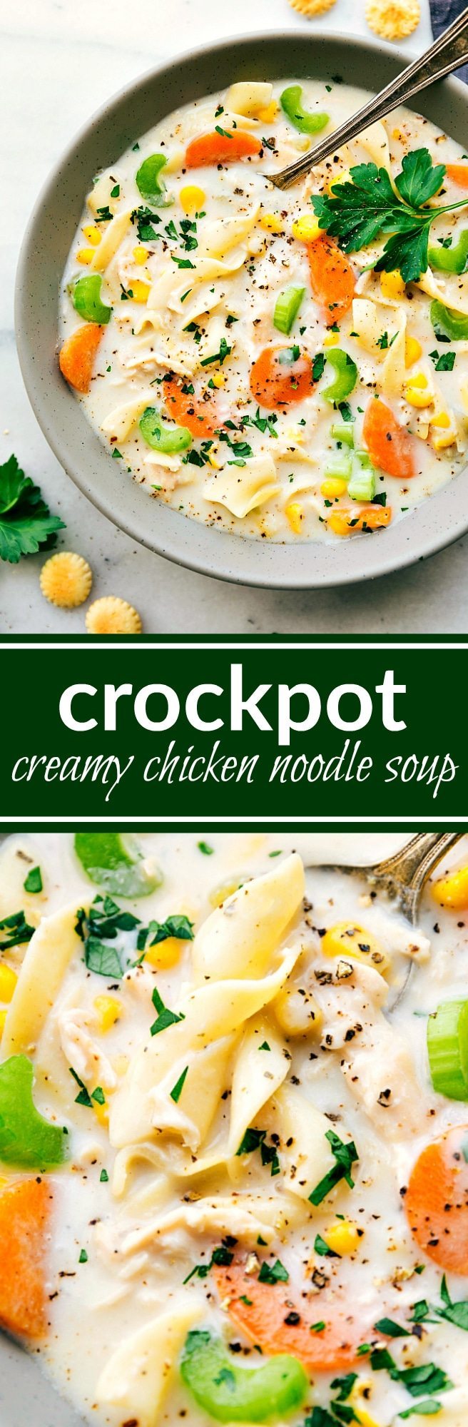 CROCKPOT Creamy Chicken Noodle Soup! Packed with flavor and so easy to make! Recipe via chelseasmessyapron.com