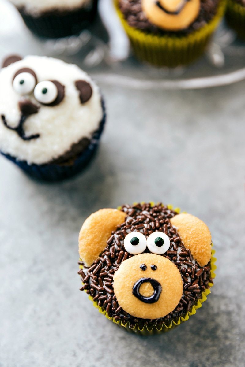 EASY JUNGLE CUPCAKES! Four simple and easy to make animal jungle cupcakes -- a zebra, monkey, tiger, and a panda. via chelseasmessyapron.com