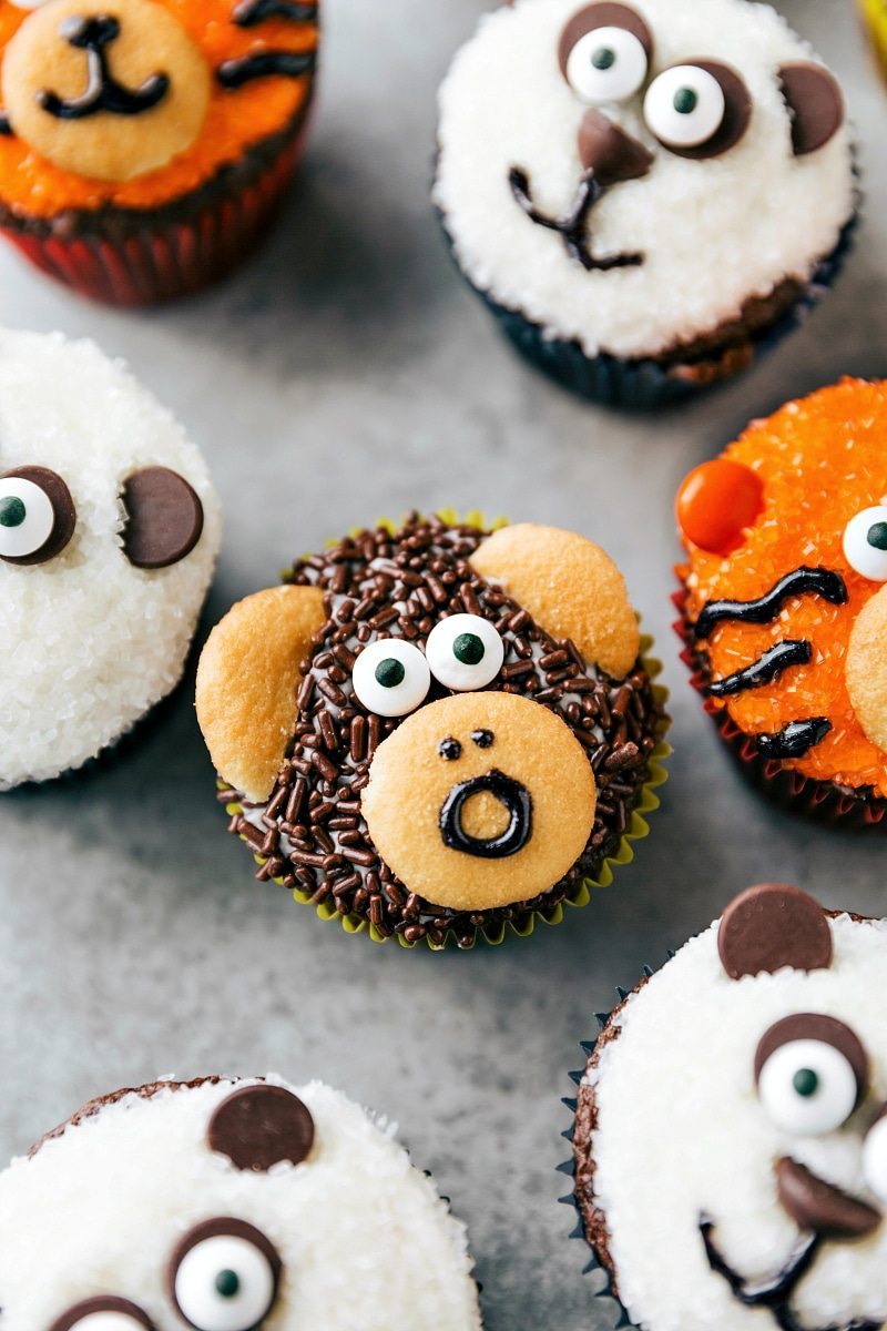 safari cupcake recipe