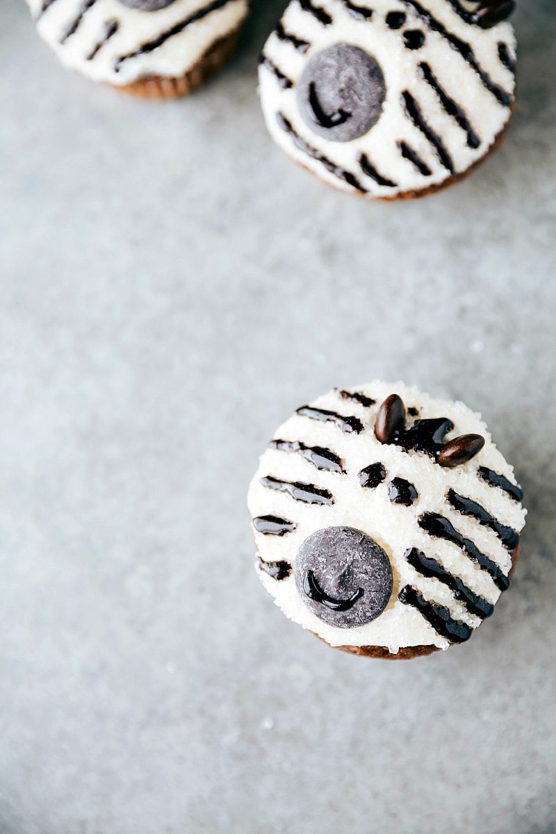 EASY JUNGLE CUPCAKES! Four simple and easy to make animal jungle cupcakes -- a zebra, monkey, tiger, and a panda. via chelseasmessyapron.com