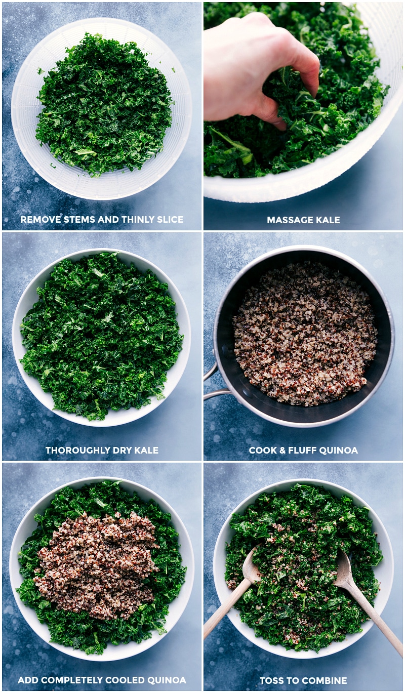 Process shots: slice kale; massage it; dry it; cook and fluff quinoa; add cooled quinoa to the kale; toss to combine.