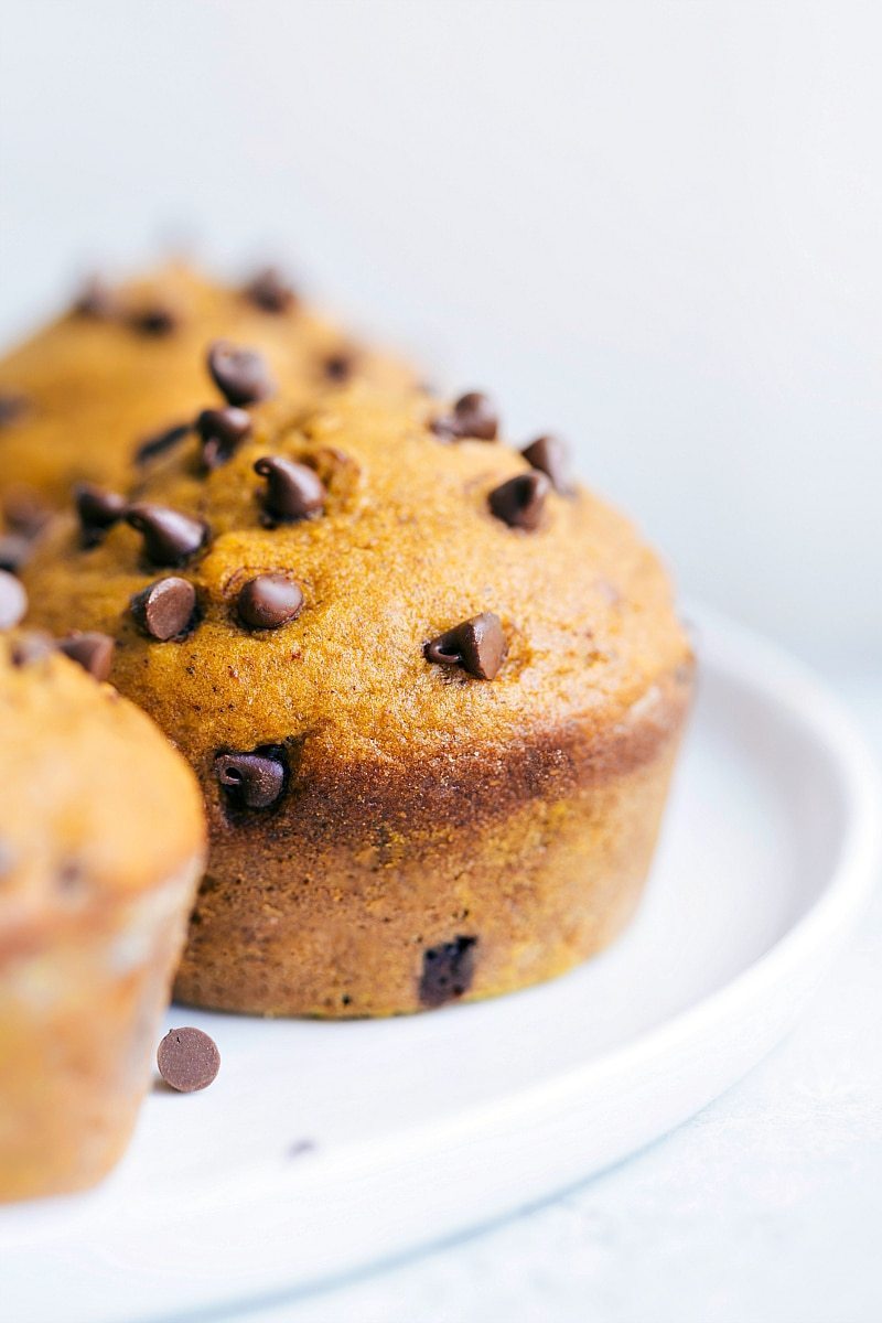 Pumpkin Chocolate Chip Muffins