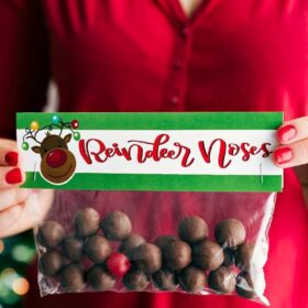 6 Easy Christmas Gifts (Free Printables)