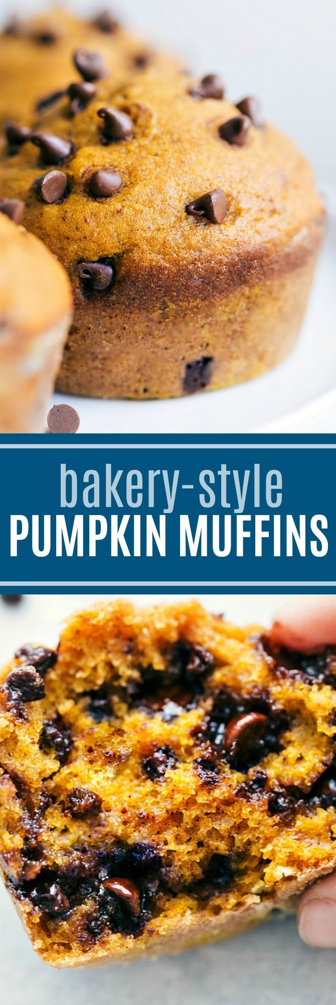 The ultimate BEST EVER bakery-style pumpkin muffins! Read the rave reviews!! via chelseasmessyapron.com