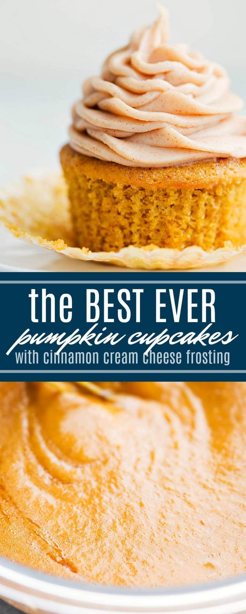 The ultimate BEST EVER pumpkin cupcakes with a cinnamon cream cheese frosting. Everyone goes crazy for these cupcakes! via chelseasmessyapron.com