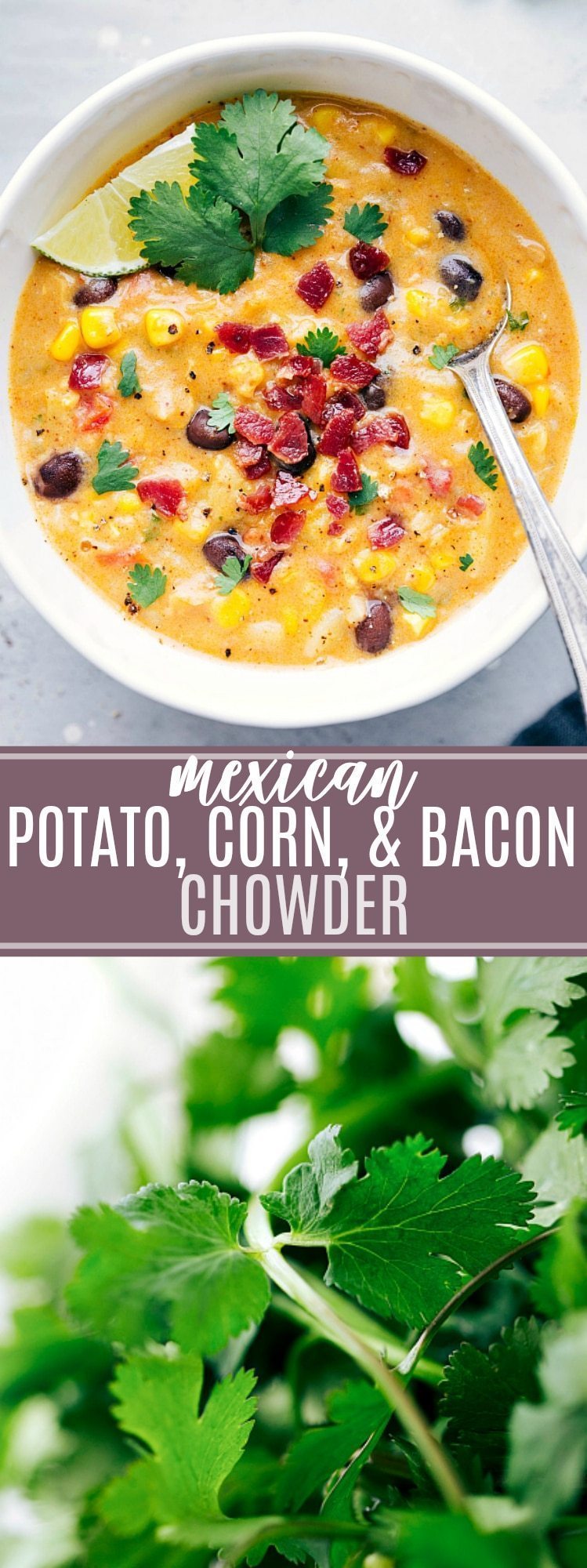 mexican potato, corn, & bacon chowder