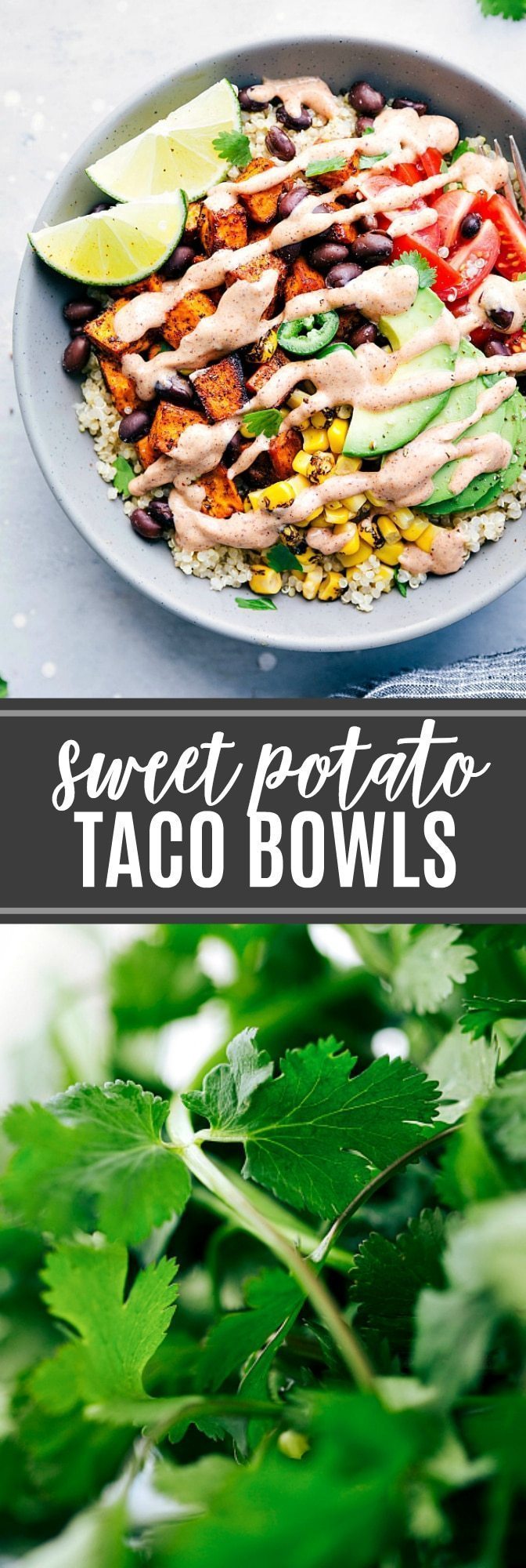 The ultimate BEST EVER sweet potato taco bowls! via chelseasmessyapron.com