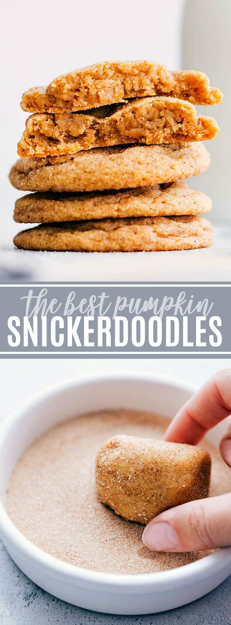 The best ever, soft and chewy, Fall-spiced pumpkin snickerdoodles. Based off of the famous snickerdoodle recipe with ALL 5-star reviews! via chelseasmessyapron.com #pumpkin #dessert #easy #quick #cookies #snickerdoodle #fall #best #ever #cannedpumpkin #pumpkinpiespice
