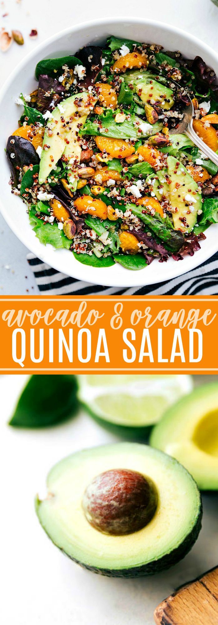 DELICIOUS powerhouse AVOCADO QUINOA SALAD with the best healthy dressing! via chelseasmessyapron.com | #salad #quinoa #mixedgreens #lettuce #healthy #protein #vegetarian #easy #quick #familyfriendly #orange #avocado #nutrition #health #wellness