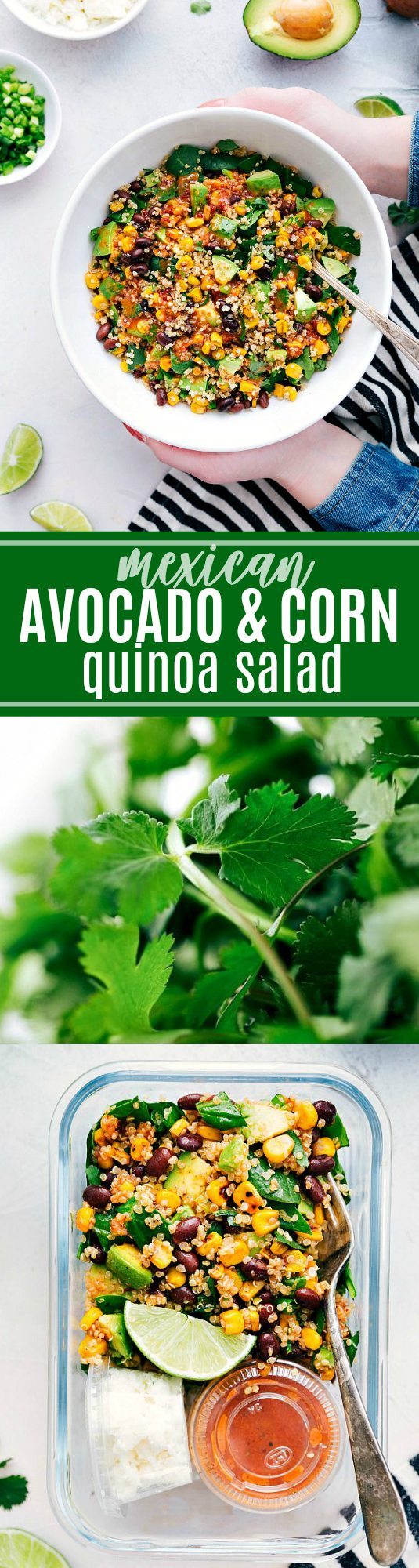 mexican avocado and corn quinoa salad