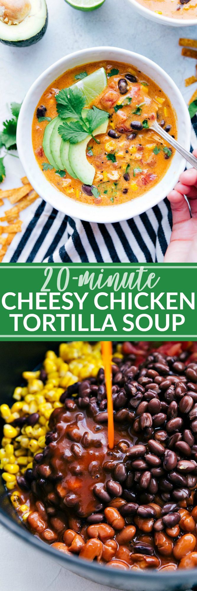 20 MINUTE cheesy and creamy chicken tortilla soup. EVERYONE goes crazy over this simple soup! via chelseasmessyapron.com #comfortfood #soup #chicken #cheesy #tortilla #dinner #lunch #cheesy #creamy #easy #quick #20minute