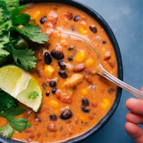 Chicken Tortilla Soup (In 20 Minutes!)
