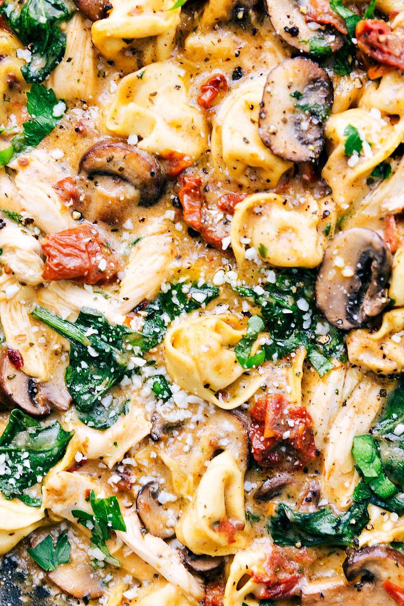 Up close chicken tortellini