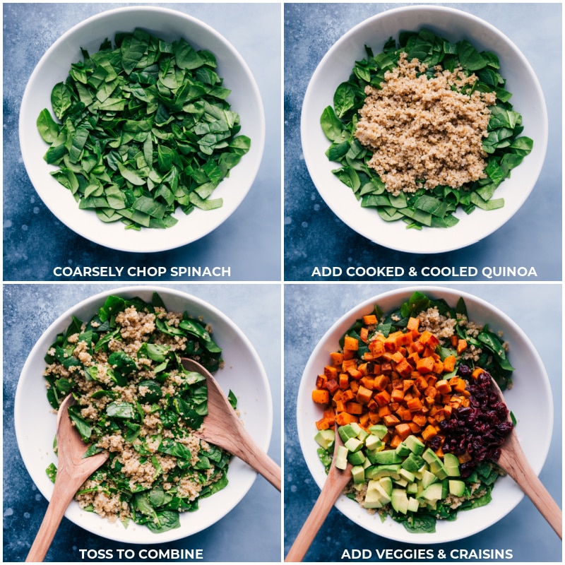 Process shots-- images of the spinach, quinoa, veggies, and dried cranberries being added to the bowl.