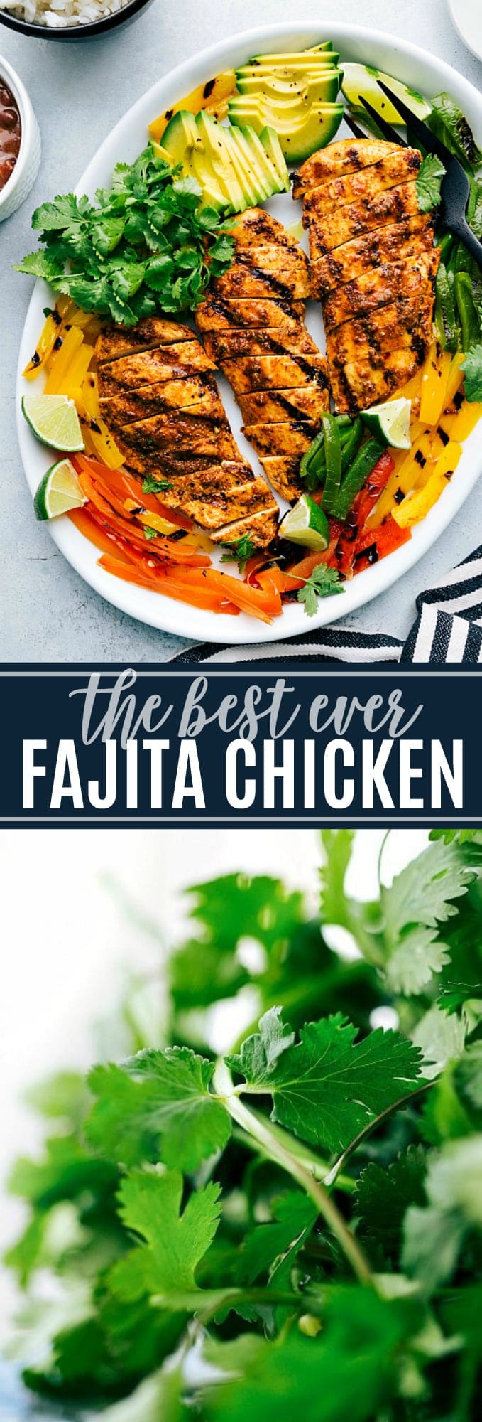 The ultimate BEST EVER Chicken Fajita Bowls! Delicious and so simple to make! via chelseasmessyapron.com via chelseasmessyapron.com