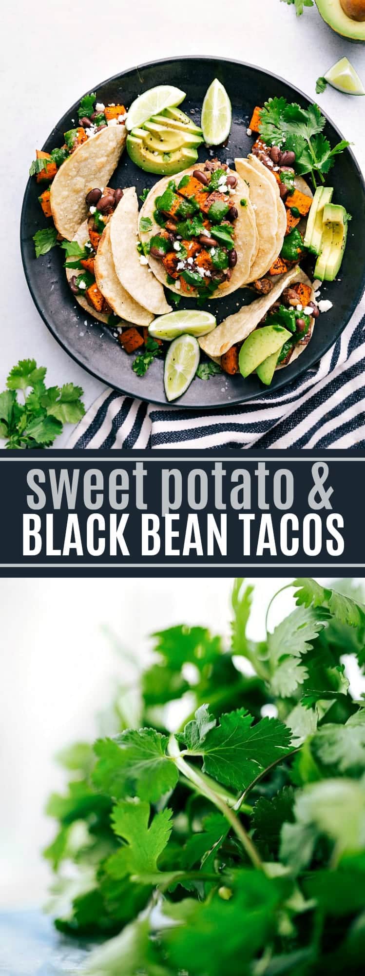 Roasted sweet potatoes and black bean tacos served with a delicious cilantro-lime sauce -- these are the BEST easy vegetarian tacos! via chelseasmessyapron.com #vegetarian #veggies #blackbean #best #easy #kidfriendly #sweet #potato #fall #food #recipe #dinner #avocado #cilantro