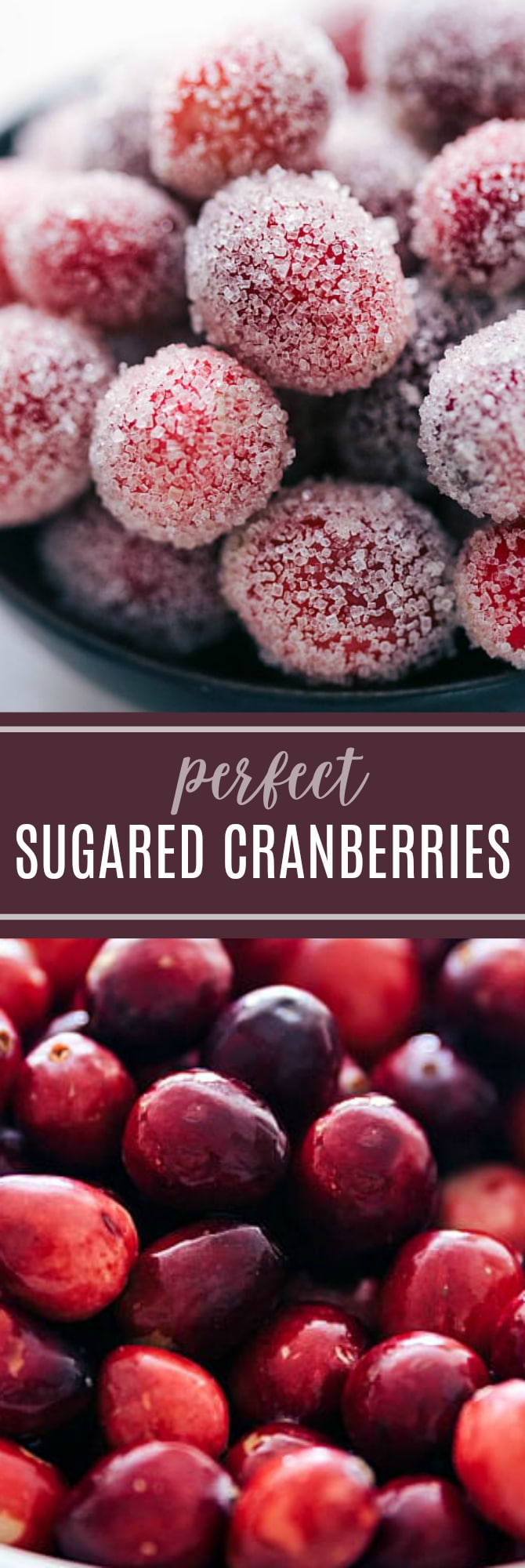 Wow your guests with these sugared cranberries - they make a beautiful and delicious addition to any holiday table. via chelseasmessyapron.com #cranberry #cranberries #sugared #holiday #decor #table #thanksgiving #christmas #dessert #treat #snack #appetizer