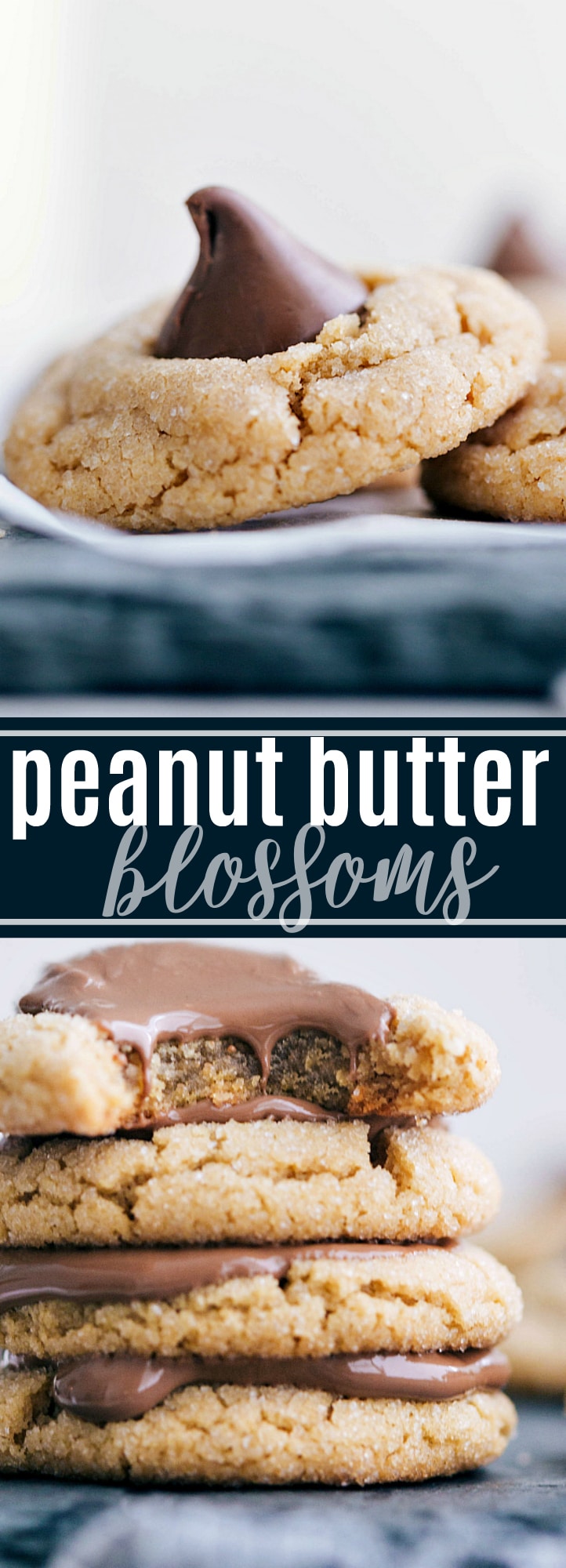 Peanut butter blossoms -- a chewy peanut butter base stuffed with a chocolate kiss. The secret to the best blossoms? Keeping the cookies small and rolling them in sugar before baking! via chelseasmessyapron.com #baking #bake #cookies #christmas #dessert #easy #quick #blossom #blossoms #peanut #butter #chocolate